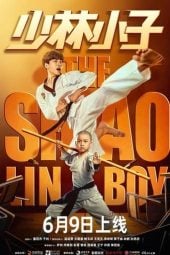 the shaolin boy