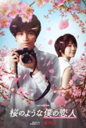 ดูหนังญี่ปุ่น พากย์ไทย Love Like the Falling Petals