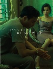 Days of Being Wild เว็บดูหนังออนไลน์ฟรี