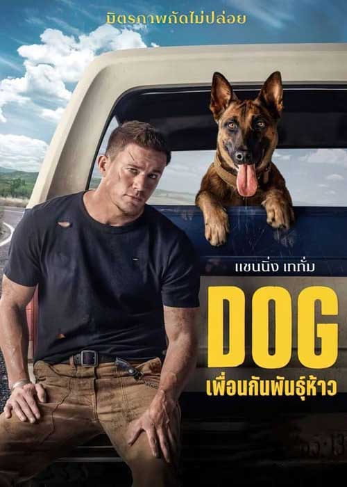 ดูหนังฟรี Dog (2022) เพื่อนกันพันธุ์ห้าว เต็มเรื่อง